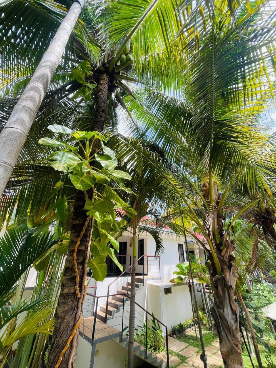 Apsara Greenland Boutique Villa & Resort Siem Reap Eksteriør bilde